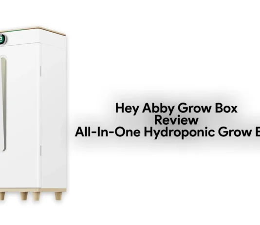 Hey Abby Grow Box Review: The All-In-One Hydroponic Grow Box