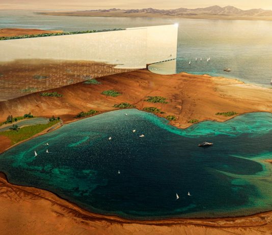 The Rise of NEOM: Saudi Arabia's Vision for the Future