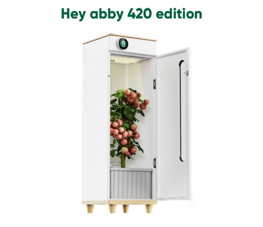 Hey Abby Automated Grow Box 420 Edition Review (2023)