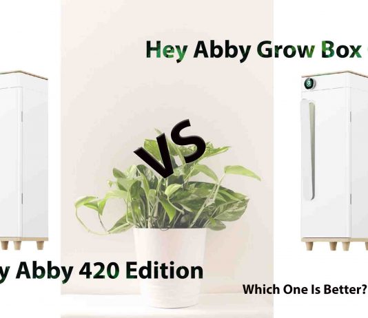 Hey Abby 420 Edition vs. Grow Box OG: Which Is Right for You?