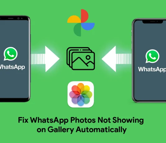 How to Fix WhatsApp Photos Not Showing on Gallery Automatically