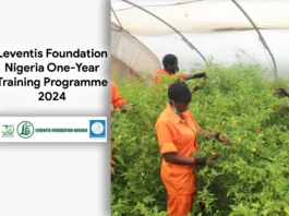 Leventis Foundation Nigeria One-Year Training Programme 2024