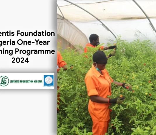 Leventis Foundation Nigeria One-Year Training Programme 2024