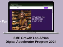 Apply For SME Growth Lab Africa Digital Accelerator Program 2024