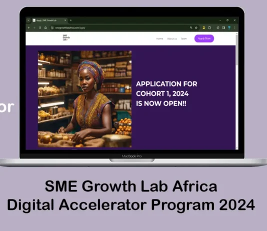 Apply For SME Growth Lab Africa Digital Accelerator Program 2024