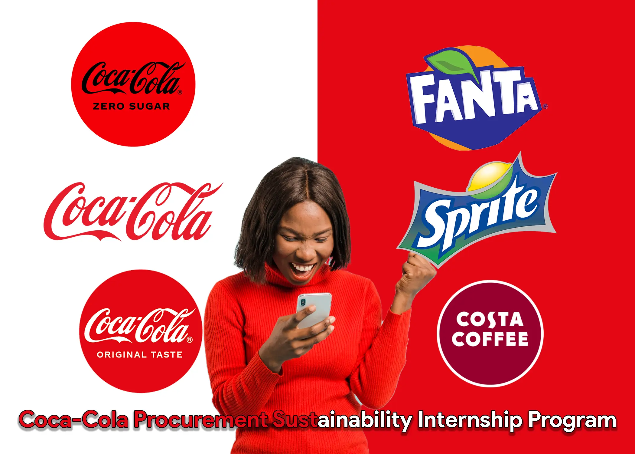 Coca-Cola Procurement Sustainability Internship Program (2024)