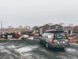 Disaster Relief Loans Guide: What They Are, Who Can Apply, and How to Get One Disaster Relief Loans Guide: What They Are, Who Can Apply, and How to Get One