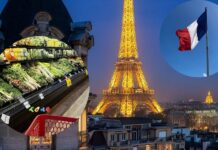 France: France's Food Revolution: No More Wasted Food.