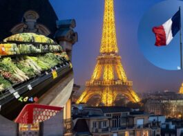 France: France's Food Revolution: No More Wasted Food.