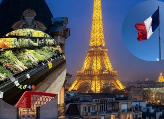 France: France’s Food Revolution: No More Wasted Food. France: France's Food Revolution: No More Wasted Food.